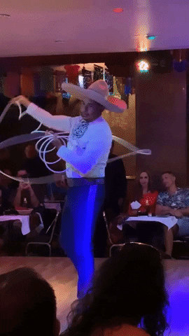 wdgroup mexican soga ajua GIF