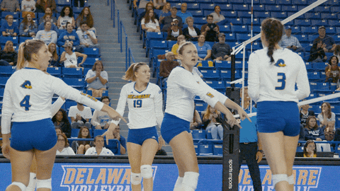 shocked ncaa sports GIF by Delaware Blue Hens