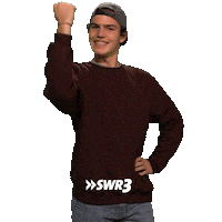 I Did It Lol Sticker by SWR3