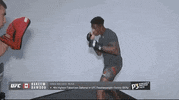 Hakeem Dawodu Sport GIF by UFC
