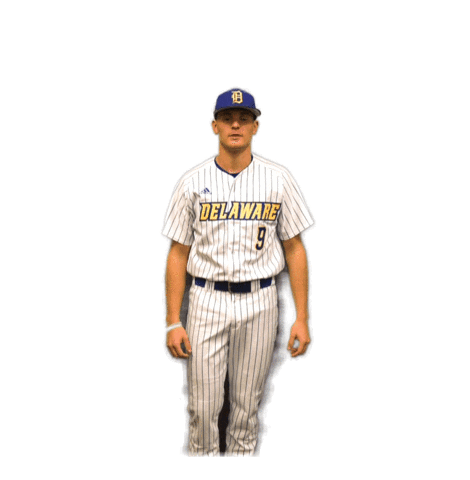 College Sports Baseball Sticker by Delaware Blue Hens