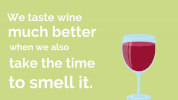 rewiredotorg animation wine pbs smell GIF