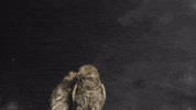 La Salle Art GIF by jorgemariozuleta