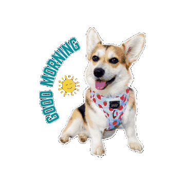 Lola Dog Sticker