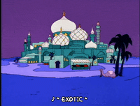 season 5 india GIF