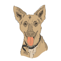 joyeriaplazza amor minimal ilustracion perros Sticker