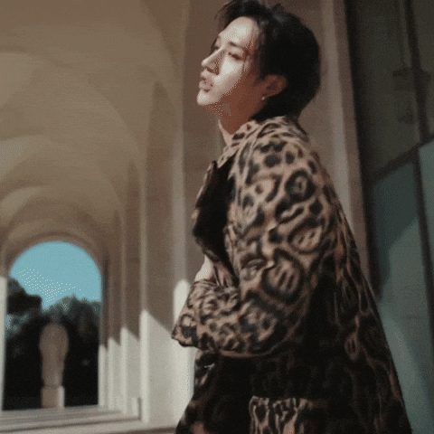 Roman Empire Skz GIF