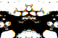 GIF by Leo Pyrata