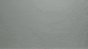 Animation Loop GIF