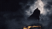 Thor Rosland GIF by THE BEARD STRUGGLE