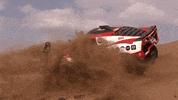Car Racing GIF by Amaury Sport Organisation