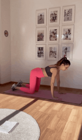 theCat1411 giphyupload GIF