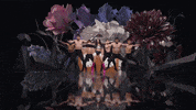 Checkmate GIF by Jena Rose