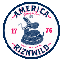 Independence Day America Sticker by RIZNWILD