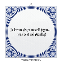 Moment Nl Sticker by Tegelspreuken.nl