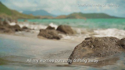 no worries rock GIF by Celebrity Cruises Gifs