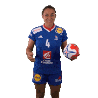 Ffhandball Sticker by Fédération Française de Handball