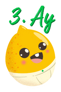 demirsaglikvehayat mother pregnant anne bebek Sticker