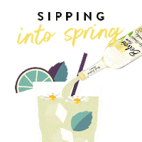 Elderflower Sticker by Belvoir Lemonades & Cordials