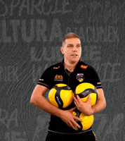 Team Volleyball GIF by trefl_gdansk
