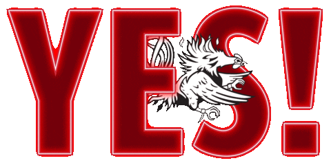 South Carolina College Sticker by University of South Carolina