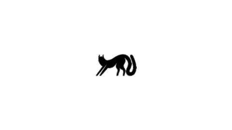 Cat Mexico Sticker by SCHIRN Kunsthalle Frankfurt