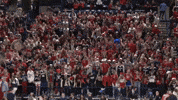 GonzagaBulldogs celebration basketball fans jumping GIF