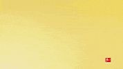 Borussia Dortmund Love GIF by Bundesliga