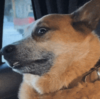 Tired Out Of It GIF