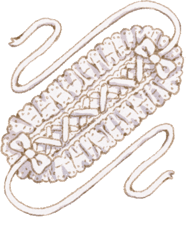 Hat Float Sticker