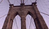 new york GIF