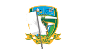 Match Day Sticker by The GAA - OfficialGAA