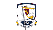 Flag Crest Sticker by The GAA - OfficialGAA