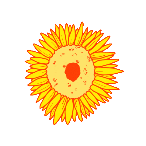 Sunflower Sticker