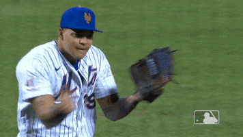 Lets Go Sport GIF by MLB