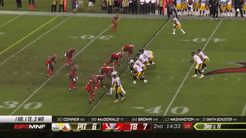 pittsburgh steelers GIF