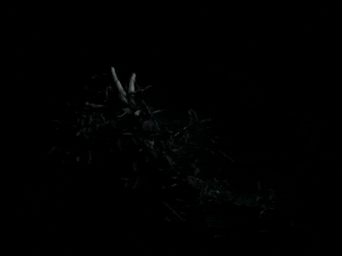 Cljschmitz art show baggy genes art show baggygenes baggy genes GIF