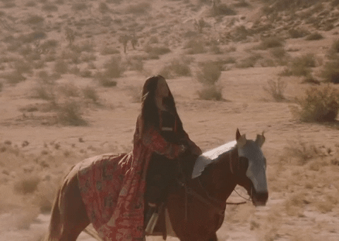 GIF by SZA