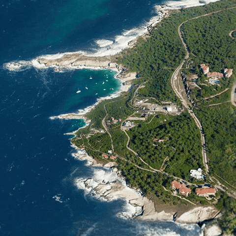 Zoom Spying GIF by Feliks Tomasz Konczakowski