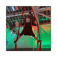 Dangling Cirque Du Soleil Sticker