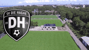 Den Haag GIF by Refresj