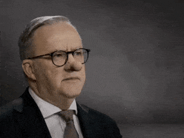 Labor Party Election GIF by Liberal Party of Australia