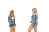 Babinec 6 Sticker by goldydetailing