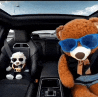 Driving Teddy Bear GIF