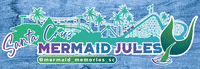 MermaidMemoriesSC rollercoaster west coast santa cruz pier GIF