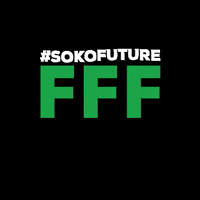 sommerkongress fff fridaysforfuture kongress sommerkongress GIF