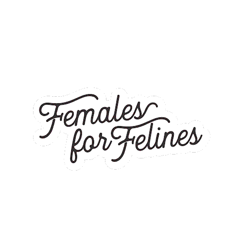 CoolCatLadyClub cat cool cats kitten Sticker