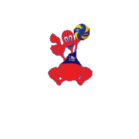 Sport Volley Sticker by Pallavolo Media Umbria