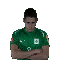 Luka Sticker by NK Olimpija
