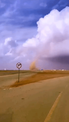 Multiple Dust Devils Swirl in Jouf, Saudi Arabia
